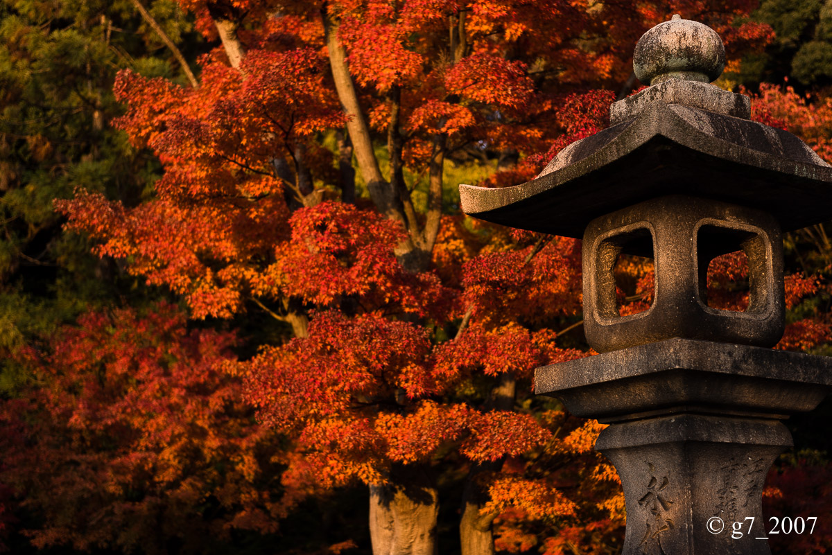 京都の紅葉 2014 〜智積院〜_f0152550_21493083.jpg