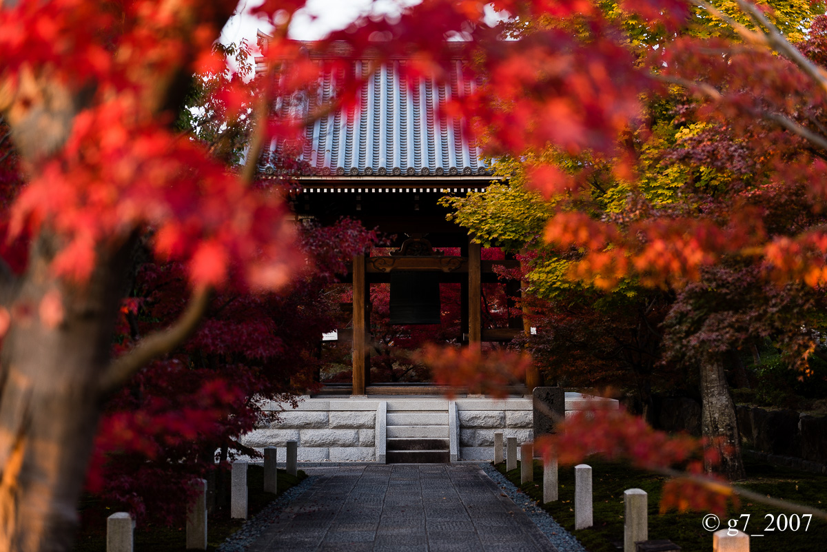 京都の紅葉 2014 〜智積院〜_f0152550_2151967.jpg