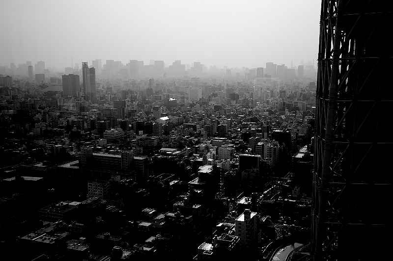 b0283455_17454585.jpg