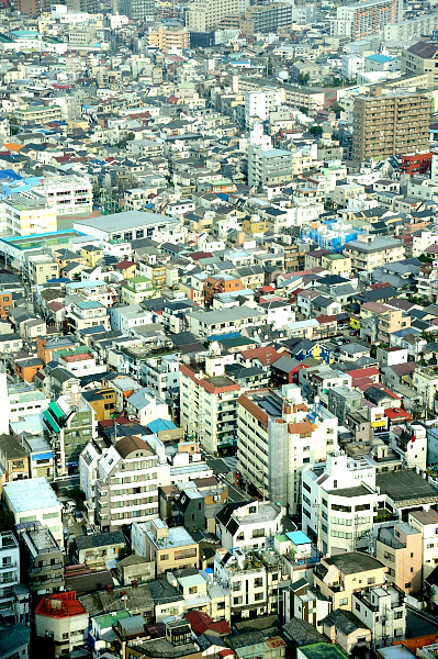 b0283455_17461570.jpg