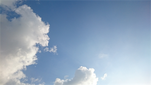 c0345259_12022416.png