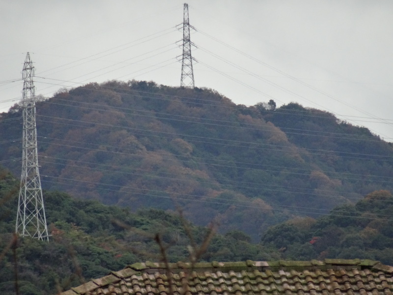 c0108460_18153126.jpg