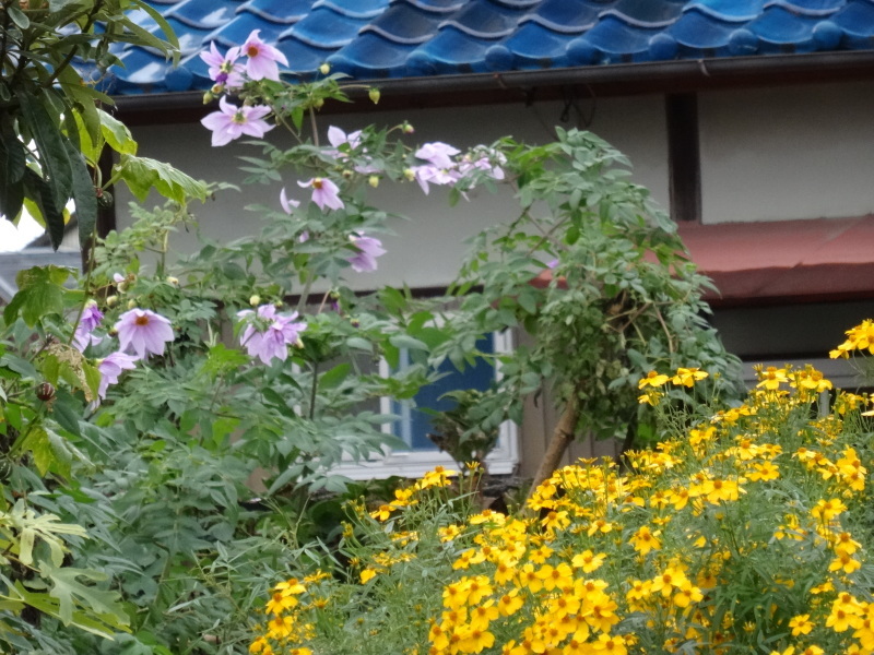 c0108460_18153591.jpg
