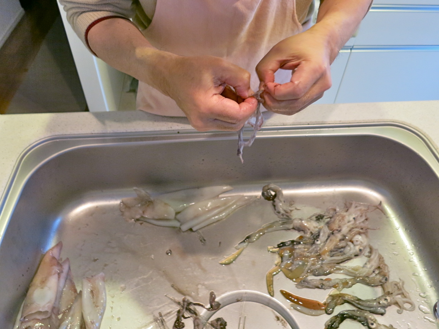 でん父さんのお料理教室(イカの下処理編)_c0260460_09441095.jpg