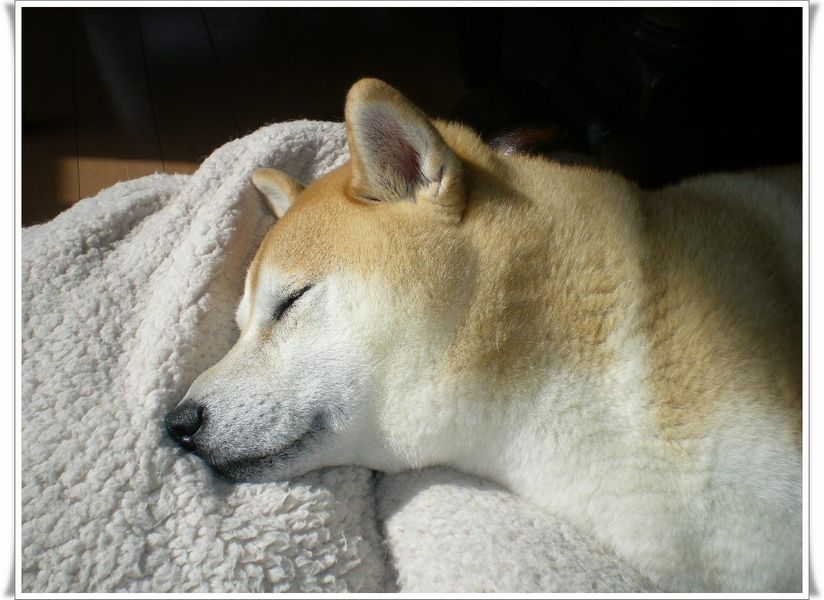 ’14,12,1(月)ウクレレとこころちゃん!_f0060461_1174615.jpg
