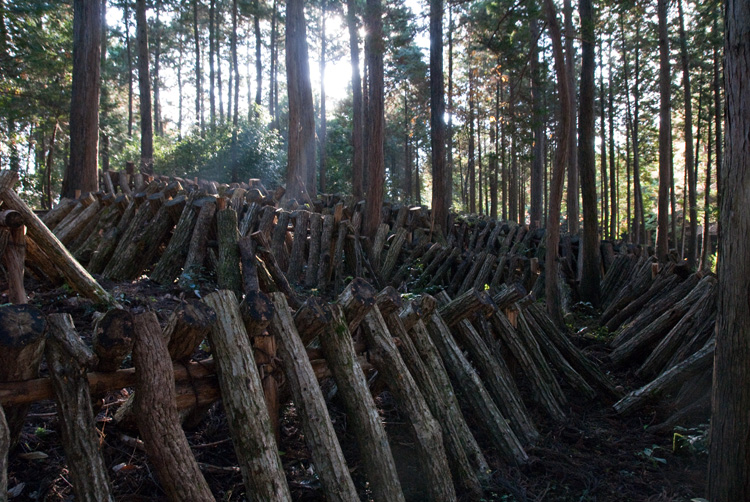 いよいよ12月へ_d0231263_1272847.jpg