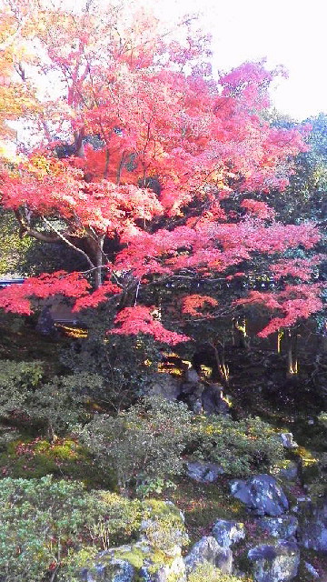 c0018666_19113722.jpg