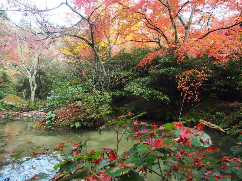 安芸の宮島☆弥山_c0321967_199056.jpg