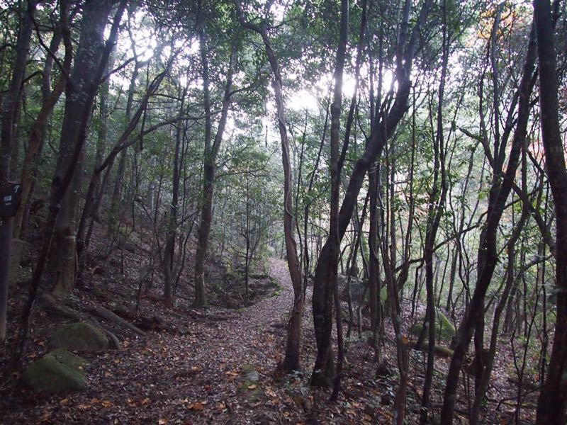 安芸の宮島☆弥山_c0321967_1992777.jpg