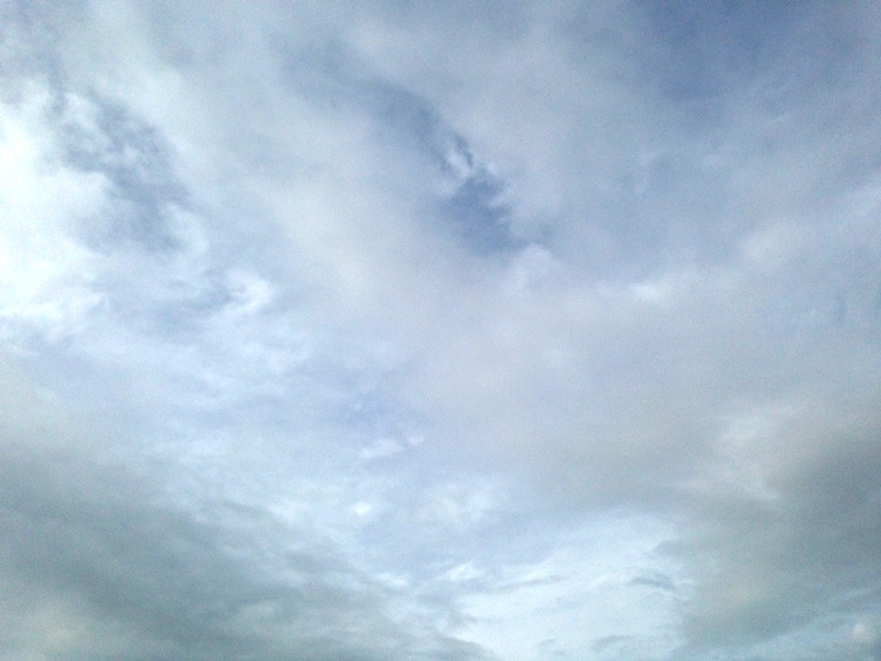 a0261573_801895.jpg