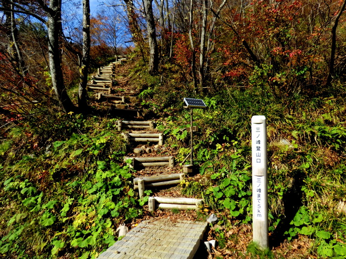b0185573_21172549.jpg