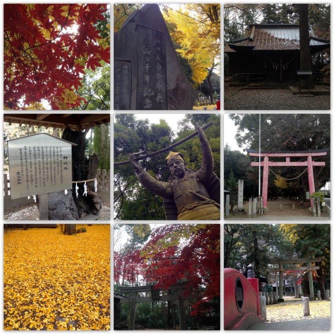 晩秋の生品神社 (太田市新田市野井町)_b0004675_12381461.jpg