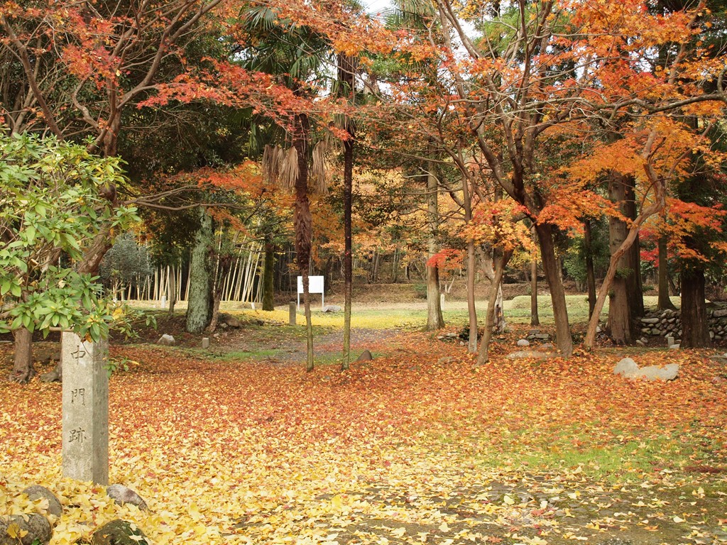 『弥勒寺と史跡弥勒寺跡と円空の墓・・・・・』_d0054276_2023198.jpg