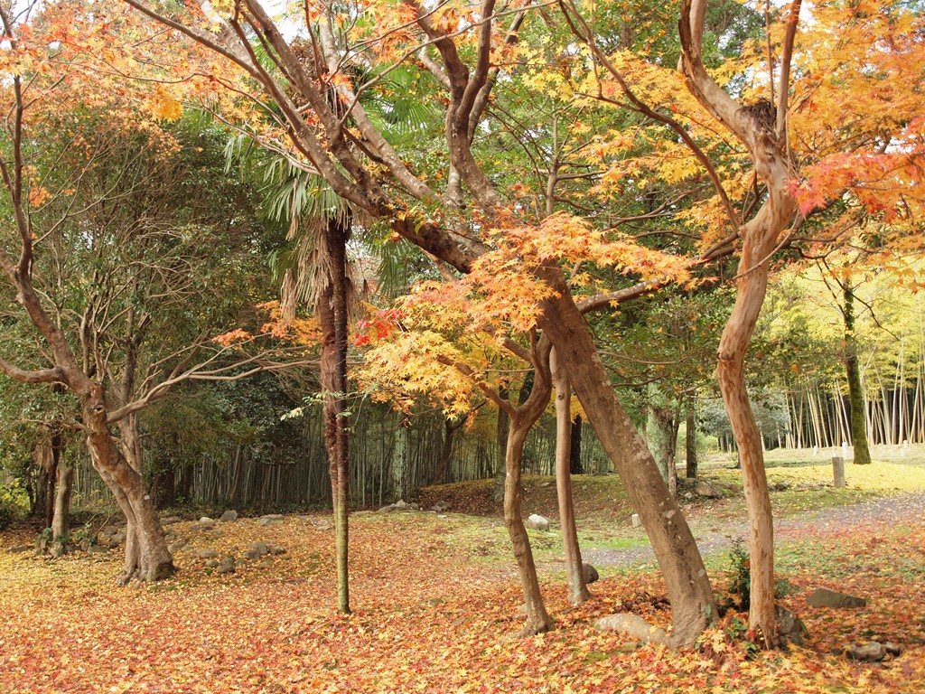 『弥勒寺と史跡弥勒寺跡と円空の墓・・・・・』_d0054276_20243549.jpg