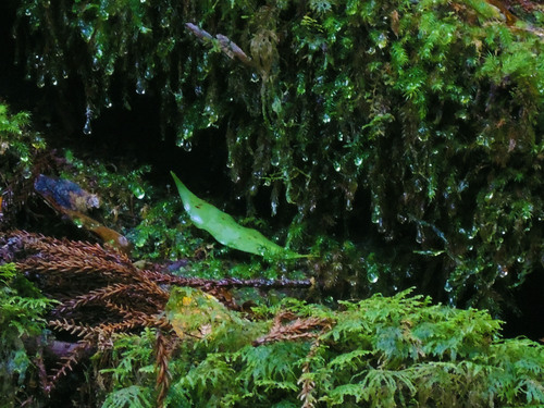 b0240382_19255842.jpg