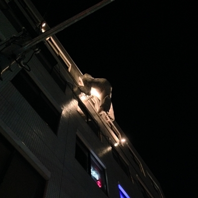 f0299682_1814353.jpg