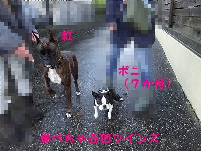 師走だよ、パーマン２号も走る_e0222588_16523345.jpg