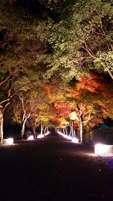 紅葉紀行2014 心静かに紅葉を観る会@富士吉田市歴史民俗博物館_f0292289_046868.jpg