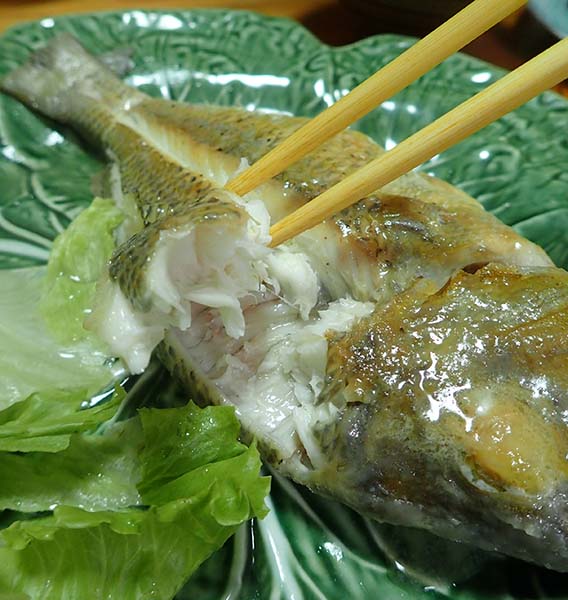 沖縄さかな生活 4 時川家のバター焼き トキシンのイラストレーター的 沖縄 生活 沖縄さかな生活 4 時川家のバター焼き トキシンのイラストレーター的 沖縄 生活