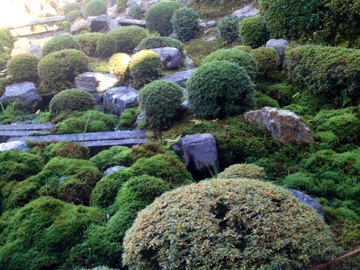 e0017290_14504515.jpg
