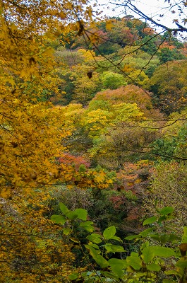 e0176993_6254795.jpg