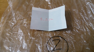 f0338893_8363299.jpg