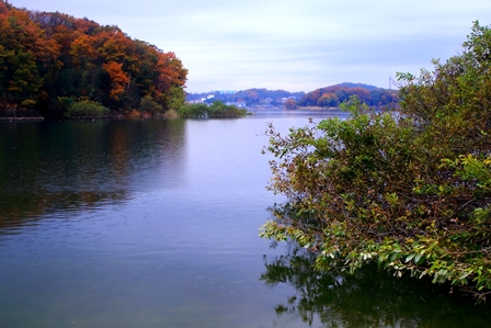 b0236595_756349.jpg