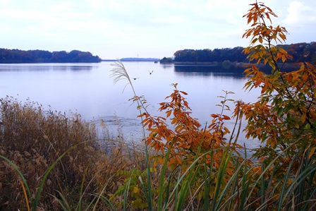 b0236595_874479.jpg