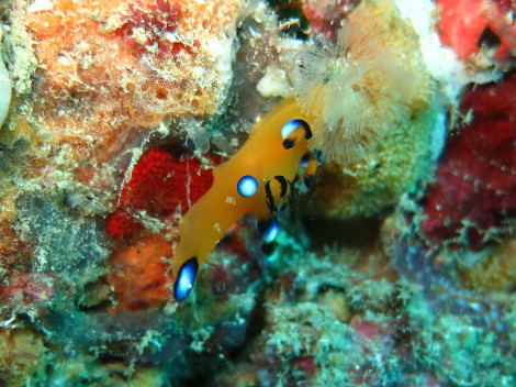 e0115199_15504930.jpg