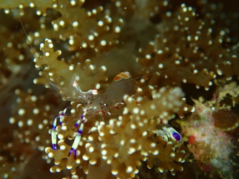 e0115199_16441500.jpg
