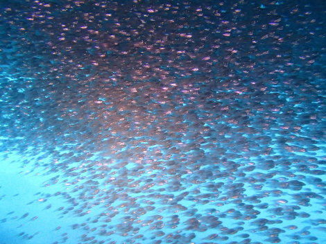 e0115199_16463247.jpg