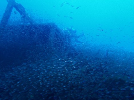 e0115199_17494833.jpg