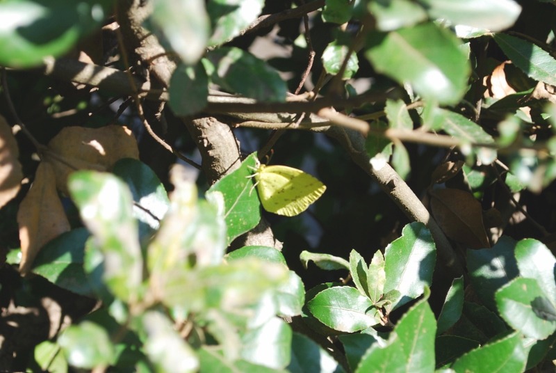 e0025300_1725176.jpg