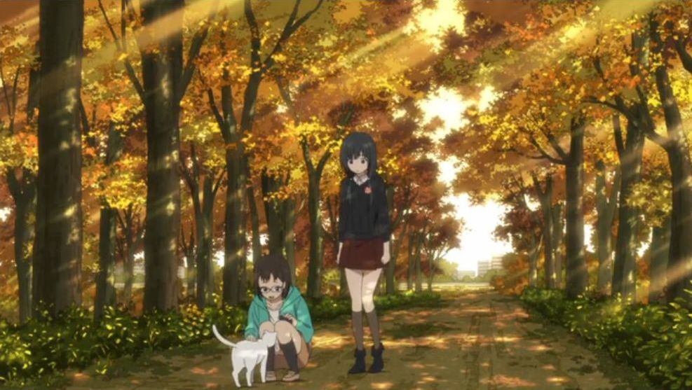 「SHIROBAKO」舞台探訪08 西東京市の東大西東京フィールドと下井草登場(第08話)_e0304702_08071783.jpg
