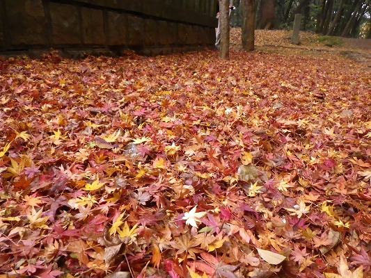 f0187402_21533959.jpg
