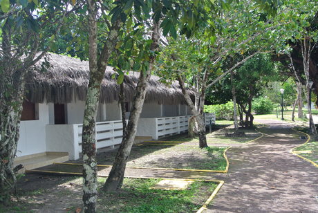 c0242406_15575319.jpg