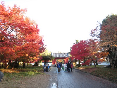 なりきり観光　平等院　参拝編（後）_f0142308_17421636.jpg