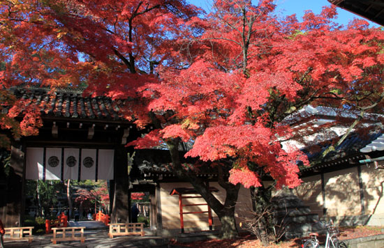 14紅葉めぐり 54 今宮神社_e0048413_19503189.jpg