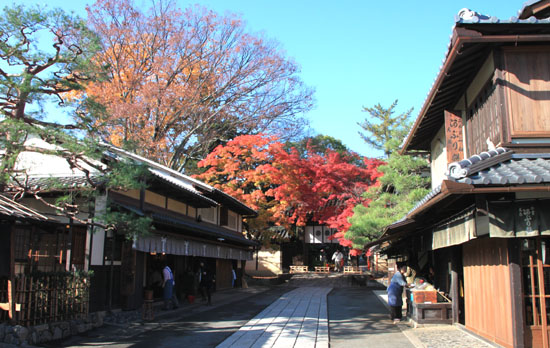 14紅葉めぐり 54 今宮神社_e0048413_1950819.jpg