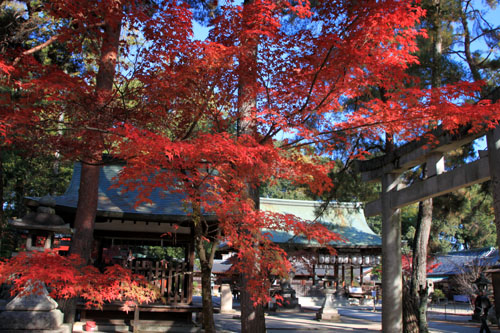 14紅葉めぐり 54 今宮神社_e0048413_1951056.jpg