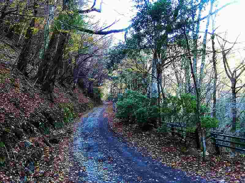 f0182513_23193624.jpg