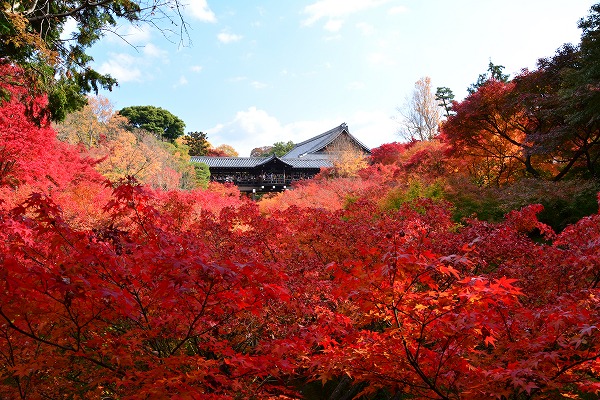 秋色　-　東福寺_a0114714_11404714.jpg