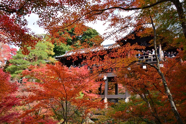 秋色　-　東福寺_a0114714_11414010.jpg