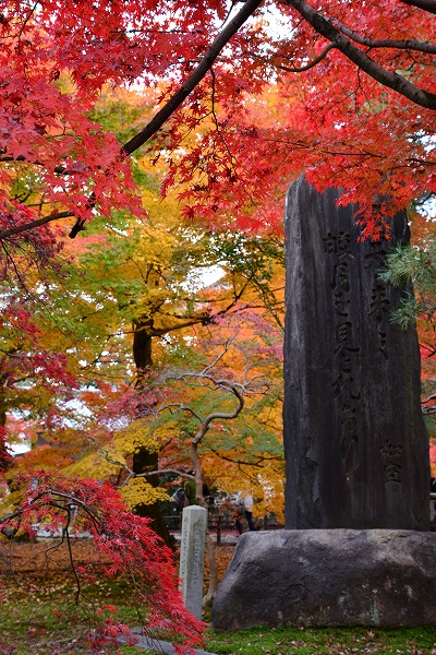 秋色　-　東福寺_a0114714_11414770.jpg