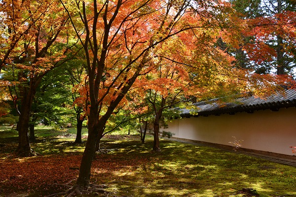 秋色　-　東福寺_a0114714_1142687.jpg