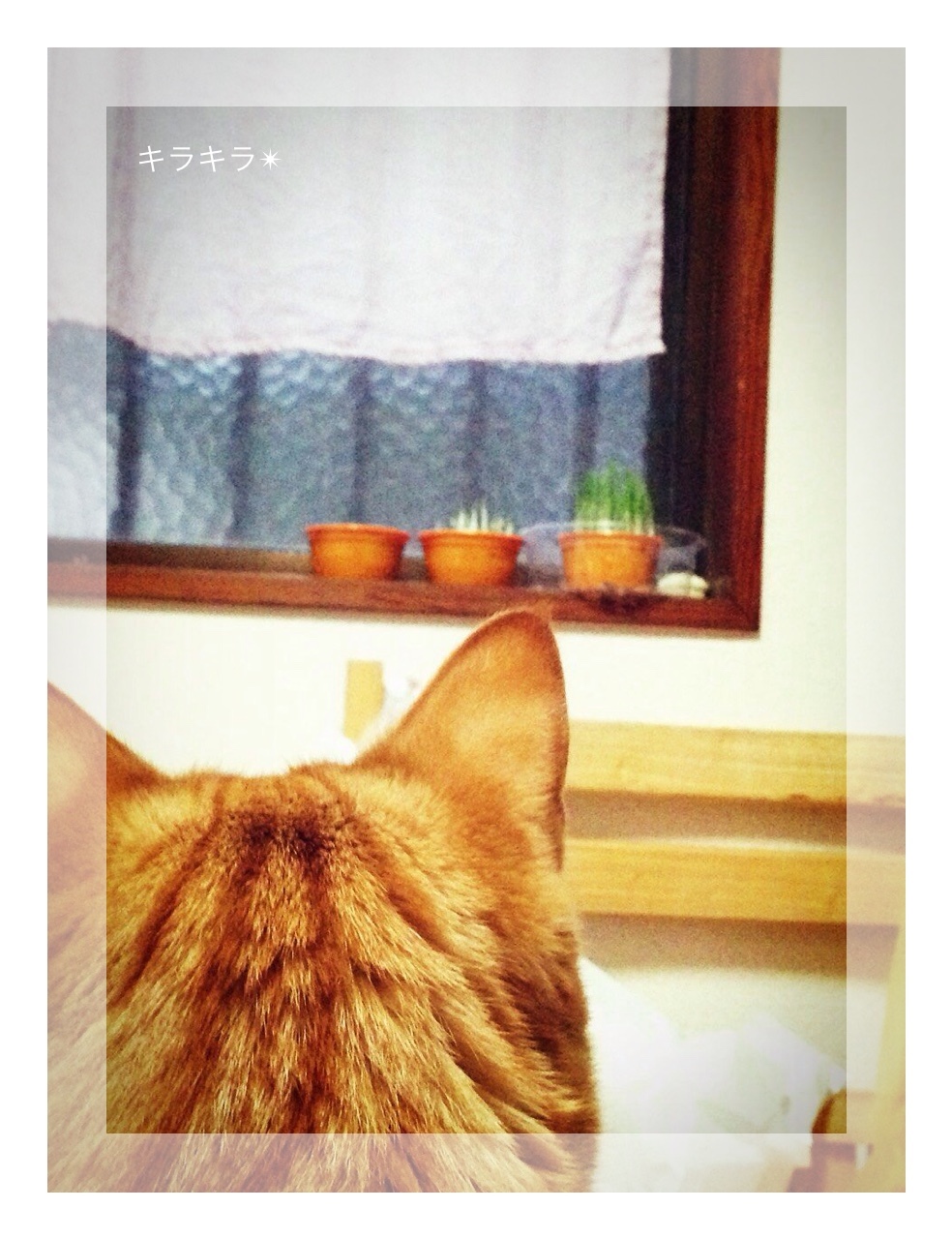 お店や作家さんのカード管理☆_f0354014_11050494.jpg