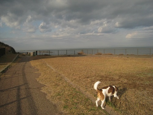 c0084117_18443625.jpg