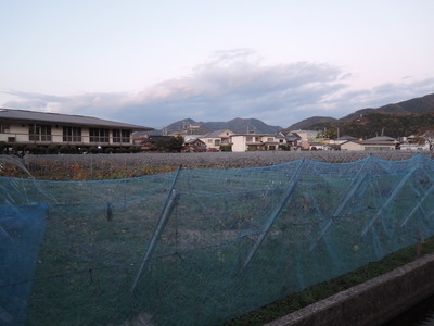 f0142721_2452659.jpg