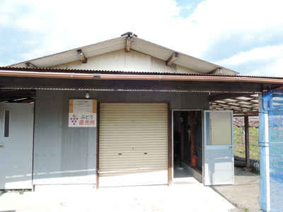 f0142721_2461537.jpg