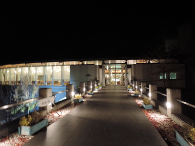 f0142721_302356.jpg